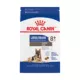 Product Royal Canin Size Health Nutrition Large Breed Aging 8+ Senior Dog Dry Food - 30 lb