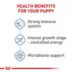 Royal Canin Giant Puppy Dry Dog Food, Size Health Nutrition image thumbnail 4