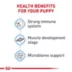 Royal Canin Giant Junior Puppy Dry Dog Food, Size Health Nutrition image thumbnail 4