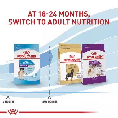 Product Royal Canin Size Health Nutrition Giant Breed Junior Puppy Dog Dry Food - 30 lb