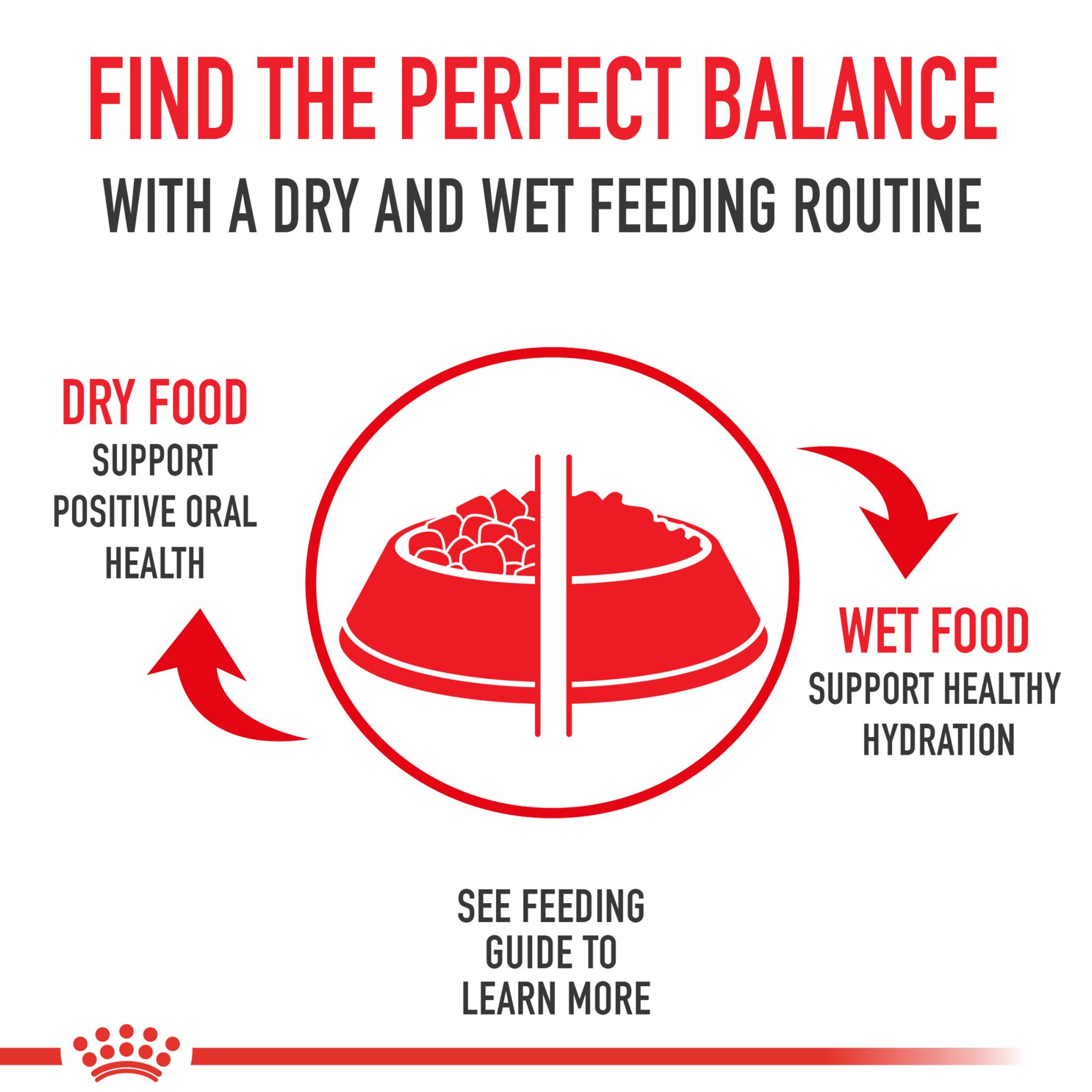 royal canin weight care canned dog food