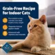 Product Blue Buffalo Freedom All Life Stages Dry Cat Food - Grain Free, Chicken