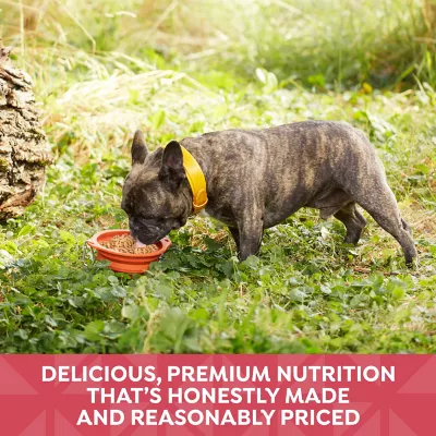 Product Nature's Recipe Wet Dog Food Adult - Chicken