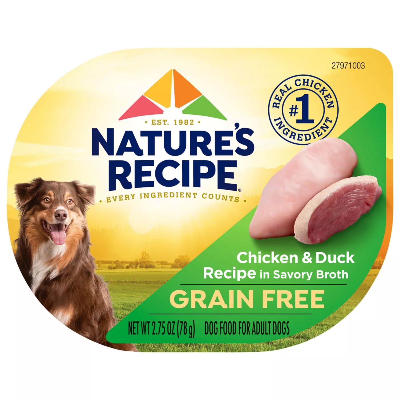 Grain free dog food wet best sale