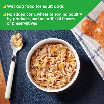 Product Nature's Recipe Adult Wet Dog Food - Grain Free, 2.75 Oz.