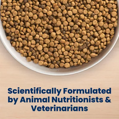 Blue Buffalo Life Protection Formula Small Bite Chicken & Brown Rice Adult Dry Dog Food - Image 7