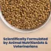 Blue Buffalo Life Protection Formula Small Bite Chicken & Brown Rice Adult Dry Dog Food image thumbnail 7