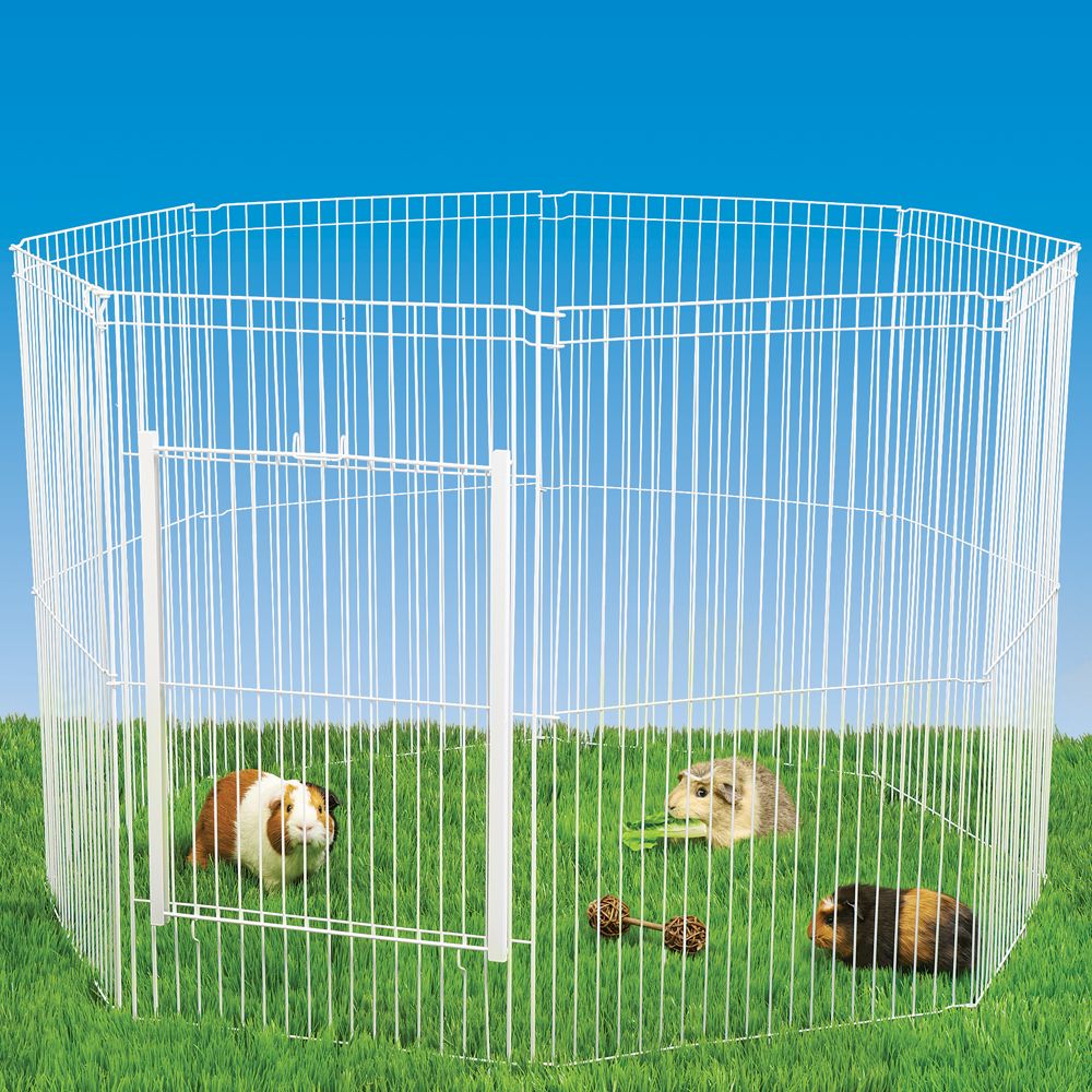 All Living Things® Small Animal Playpen small pet Play Pens PetSmart