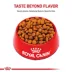 Royal Canin Size Health Nutrition Large Breed Adult Dry Dog Food image thumbnail 2