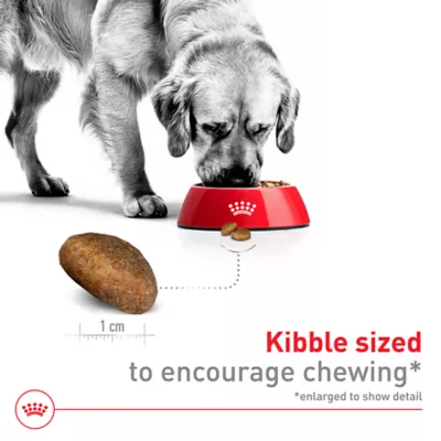 Product Royal Canin Size Health Nutrition Large Breed Adult Dry Dog Food