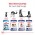 Royal Canin Size Health Nutrition Large Breed Adult Dry Dog Food image thumbnail 6