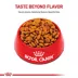 Royal Canin Size Health Nutrition Medium Breed Adult Dry Dog Food image thumbnail 2