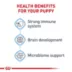 Royal Canin Medium Puppy Dry Dog Food, Size Health Nutrition image thumbnail 4