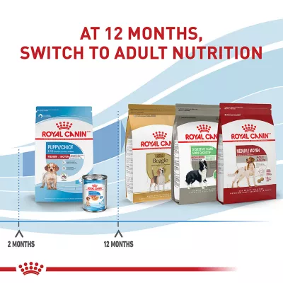 Product Royal Canin® Size Health Nutrition Medium Puppy Dry Dog Food