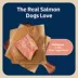 Blue Buffalo® Bits Soft & Chewy Puppy Training Treats - Salmon, 4 oz image thumbnail 3