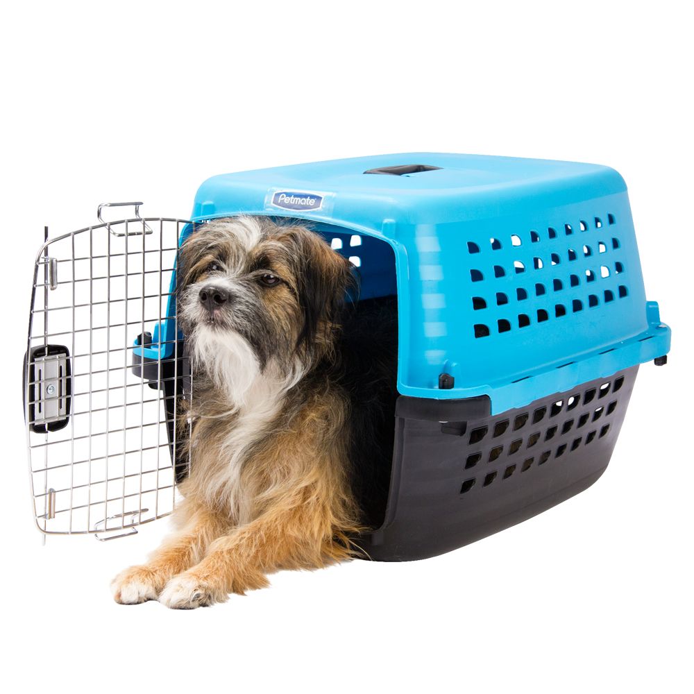 Petmate® Compass Fashion Pet Carrier 