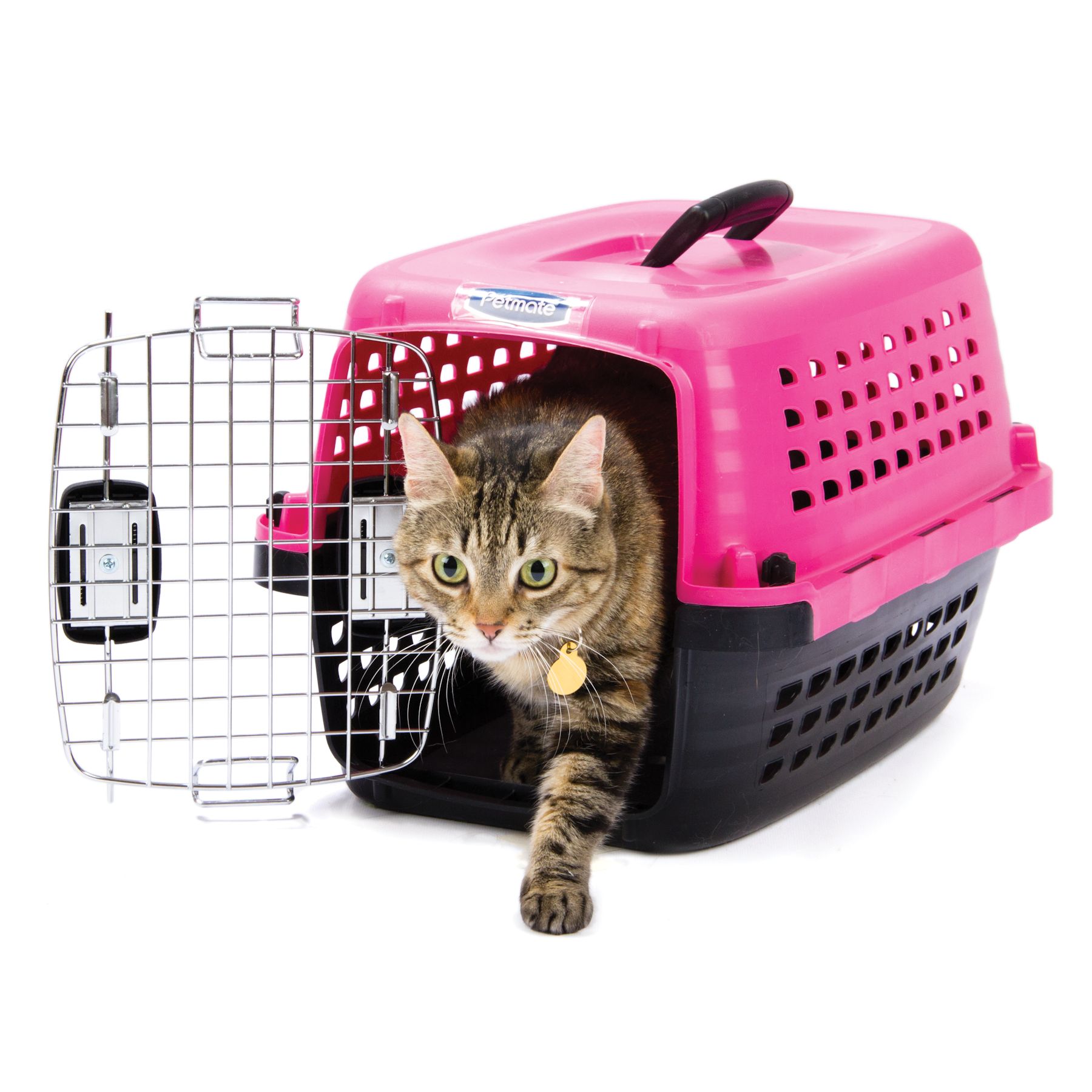 cat carrier pink