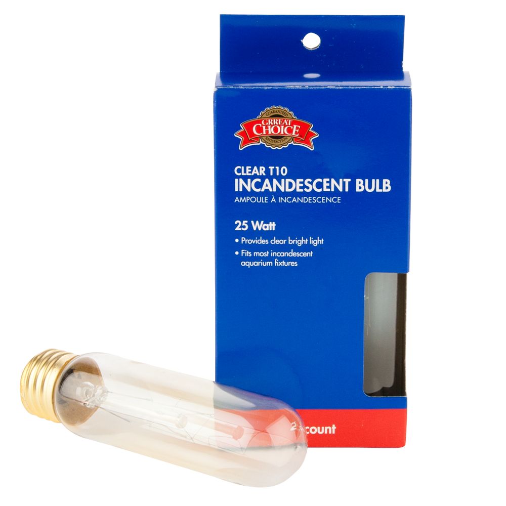 grreat choice terrarium starter kit