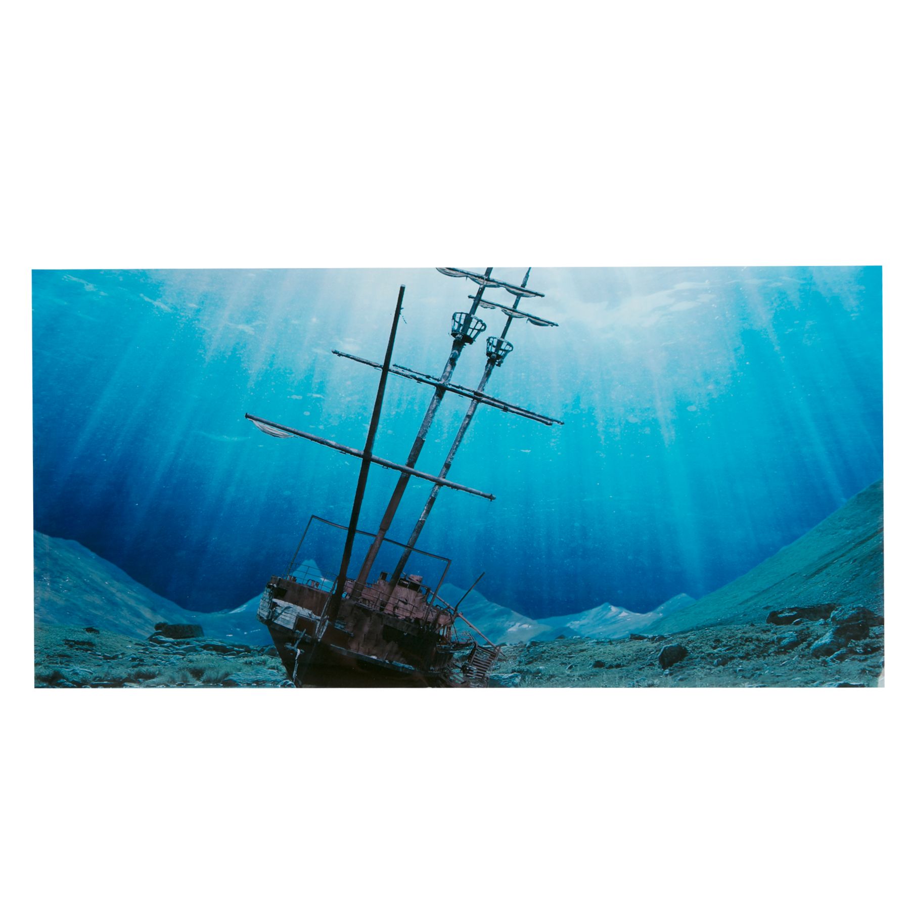 Top Fin\u00ae Tropical \u0026 Shipwreck Aquarium Background  fish Backgrounds  PetSmart