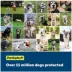 PetSafe® Stubborn Stay & Play Wireless Pet Fence Receiver Collar - Tone and Static Correction image thumbnail 6