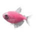 GloFish® Moonrise Tetra image thumbnail 1