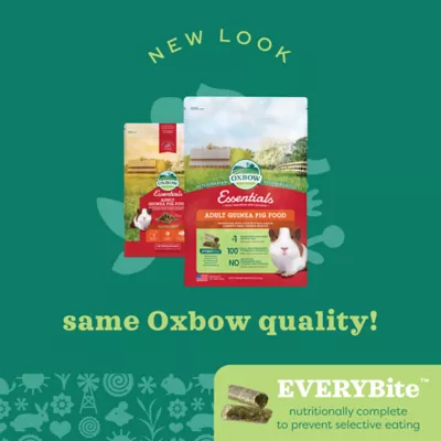 Oxbow essentials adult guinea pig food best sale