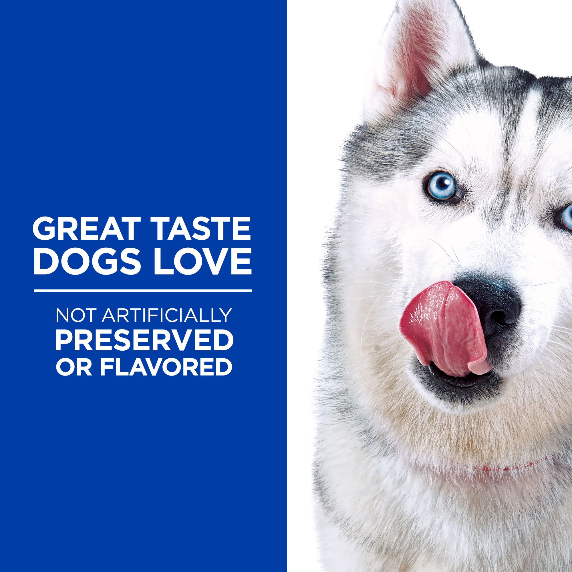 hill's prescription diet soft baked dog treats