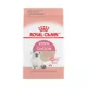 Product Royal Canin® Feline Health Nutrition Young Kitten Dry Cat Food