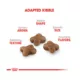 Product Royal Canin® Feline Health Nutrition Young Kitten Dry Cat Food