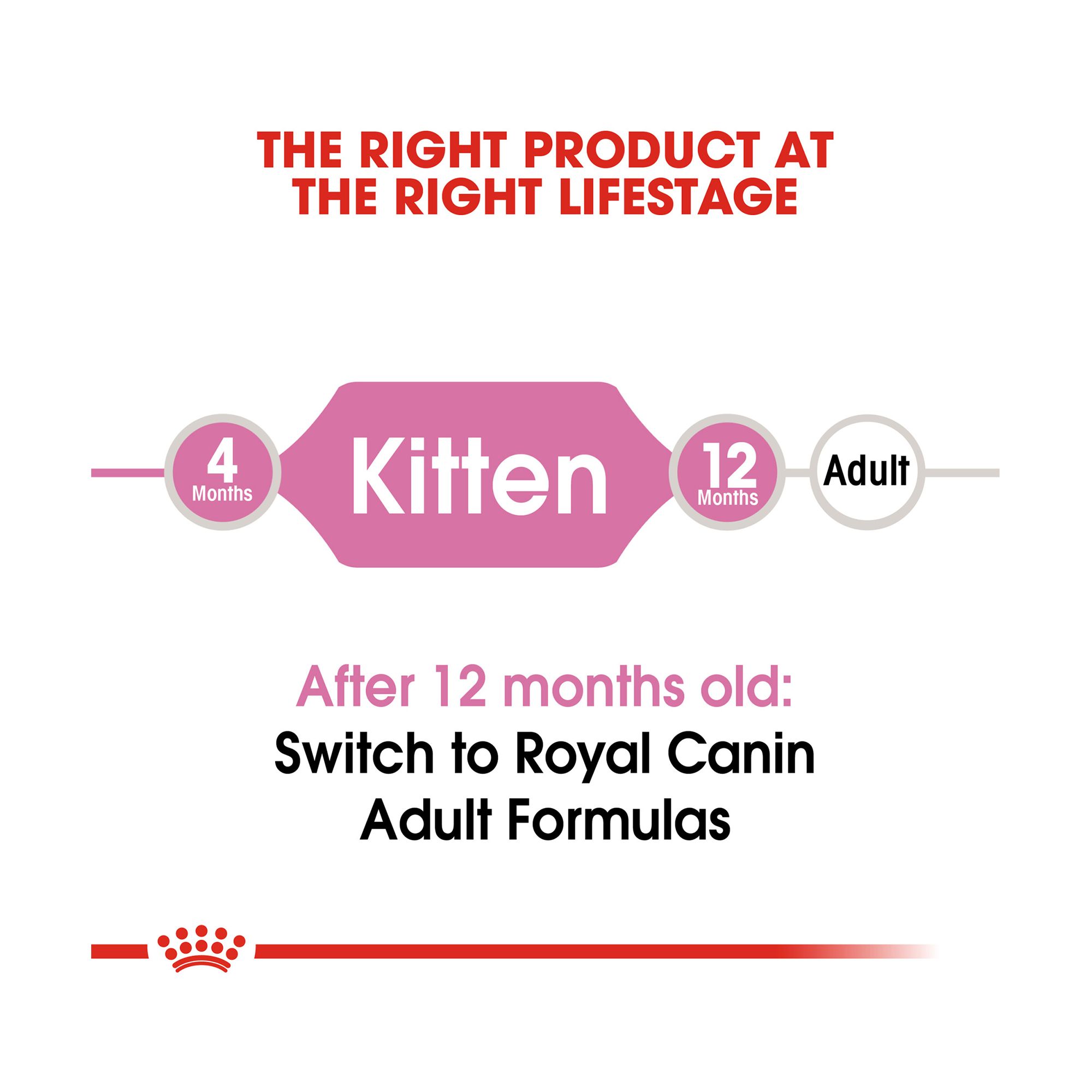 royal canin kitten 10