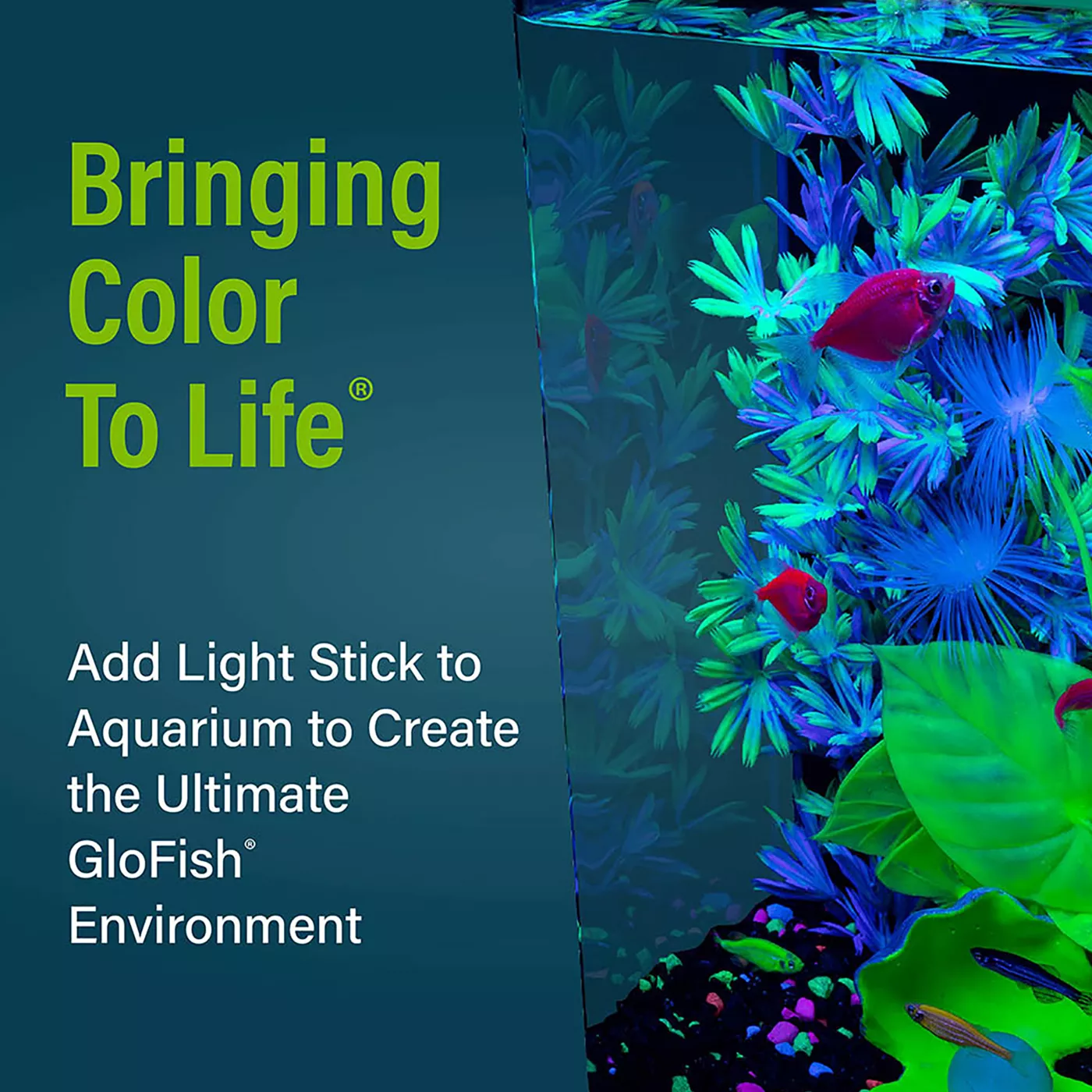 GloFish LED Aquarium Light Stick