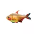 PetSmart Candy Cane Tetra image thumbnail 1