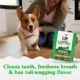 Product Greenies™ Adult Petite Dog Dental Treats - Natural, Oral Health, Original