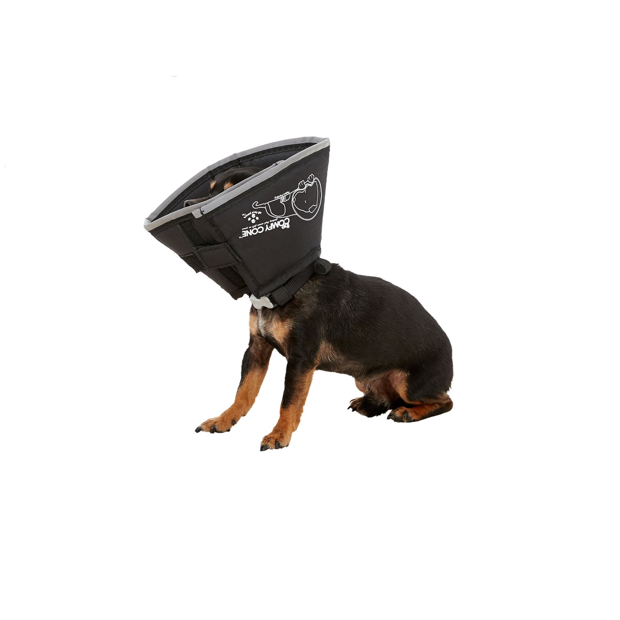 alternative to dog cone petsmart