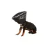 All Four Paws Black Comfy Cone Dog E-Collar image thumbnail 1