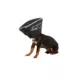 Product All Four Paws Black Comfy Cone Dog E-Collar