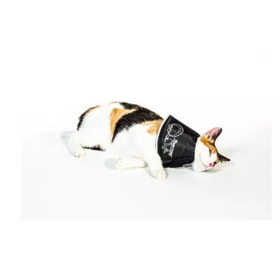 Product All Four Paws Black Comfy Cone Dog E-Collar