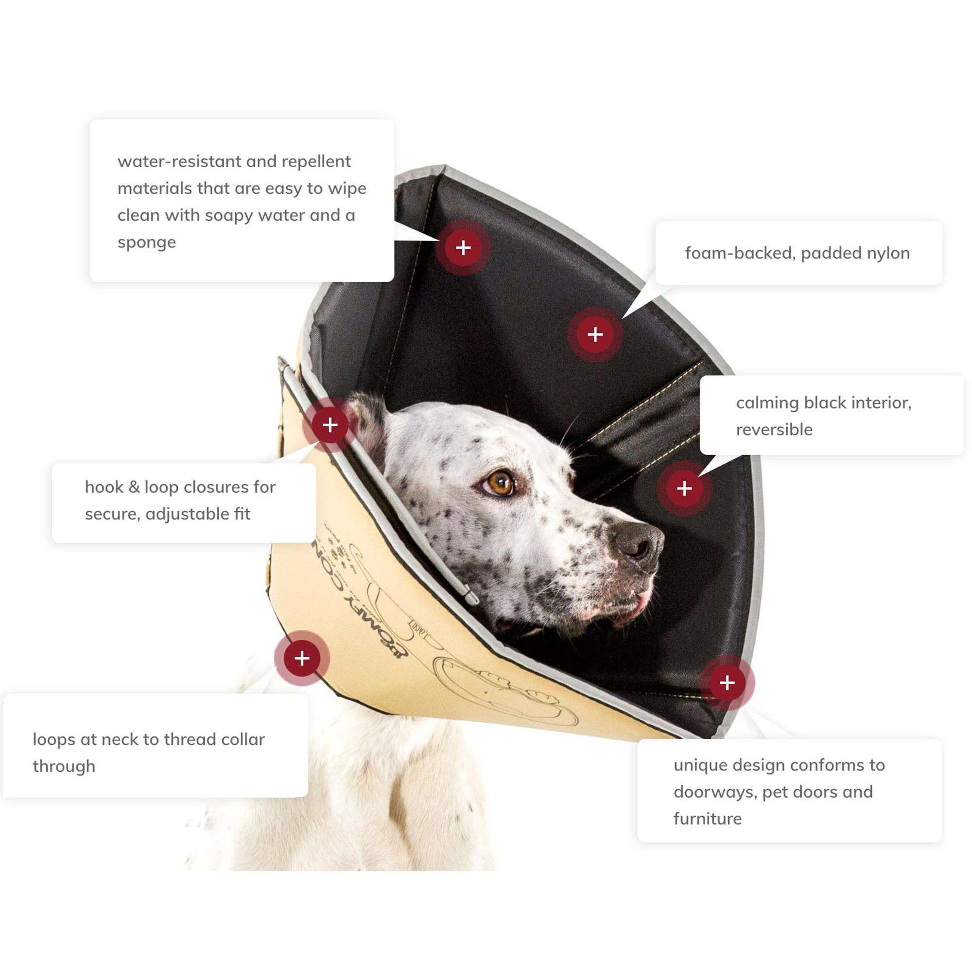 fabric elizabethan dog collar