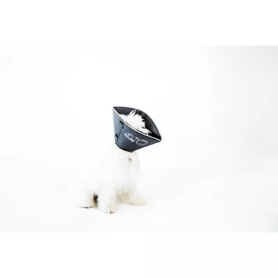 Product All Four Paws Black Comfy Cone Dog E-Collar