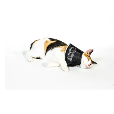 Product All Four Paws Black Comfy Cone Dog E-Collar
