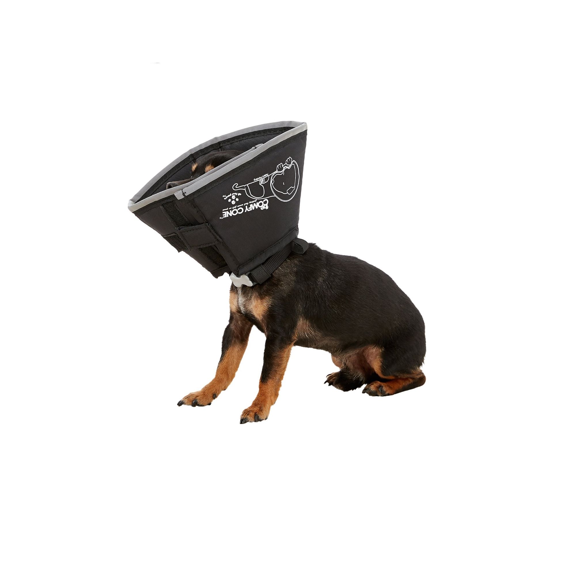 Petsmart dog cone store inflatable