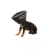 All Four Paws Black Comfy Cone Dog E-Collar image thumbnail 1