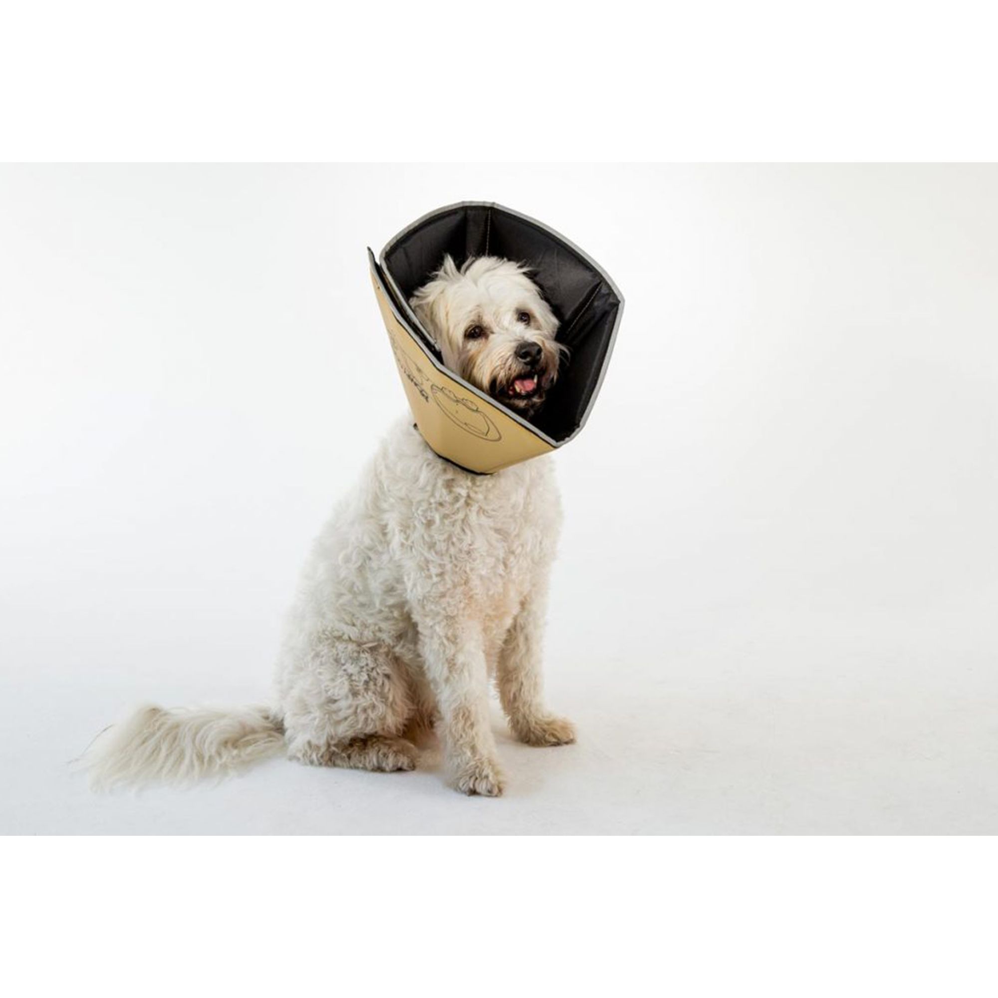 Large dog cone sales petsmart