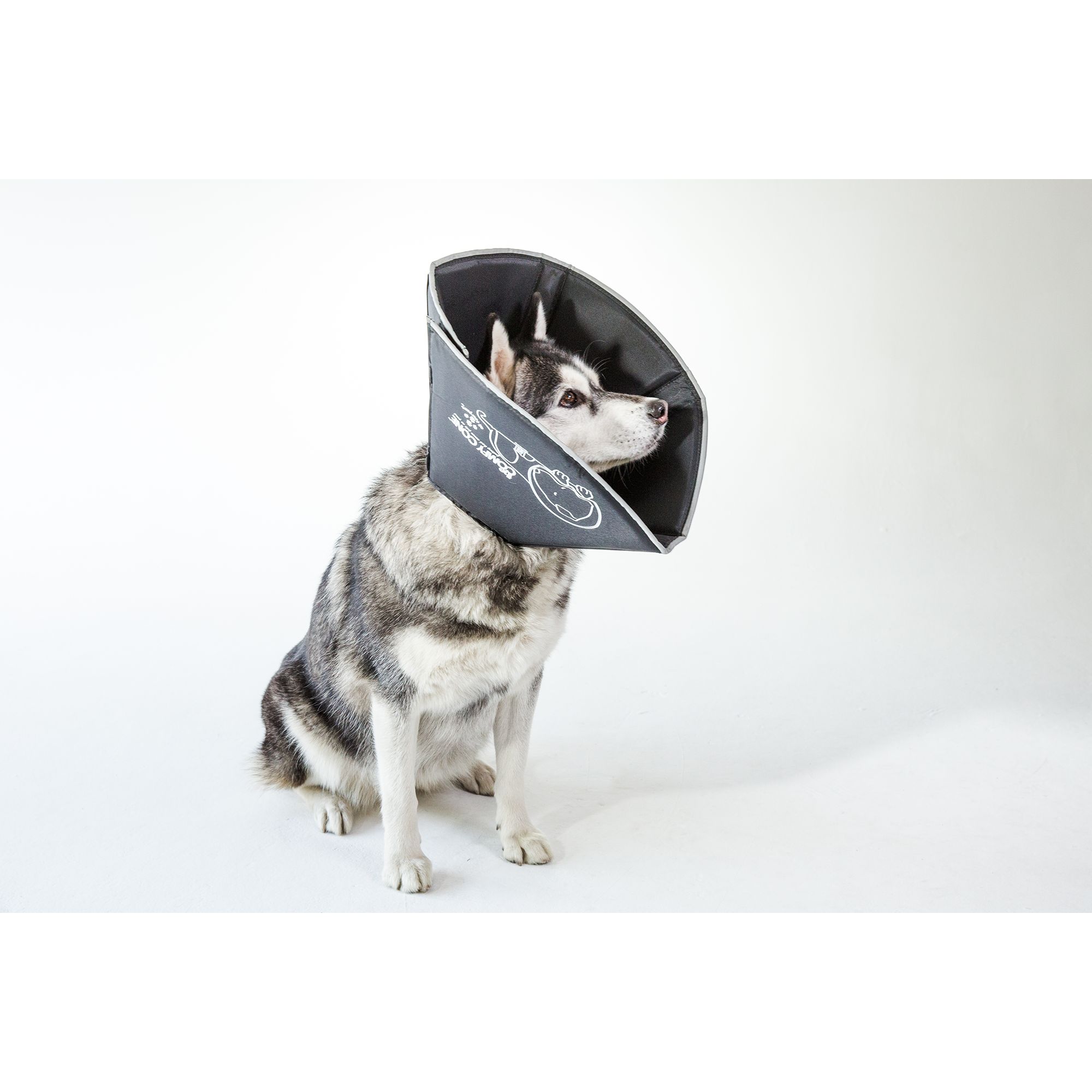 All Four Paws Black Comfy Cone Dog E Collar dog First Aid