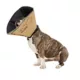 Product All Four Paws Tan Comfy Cone Dog E-Collar