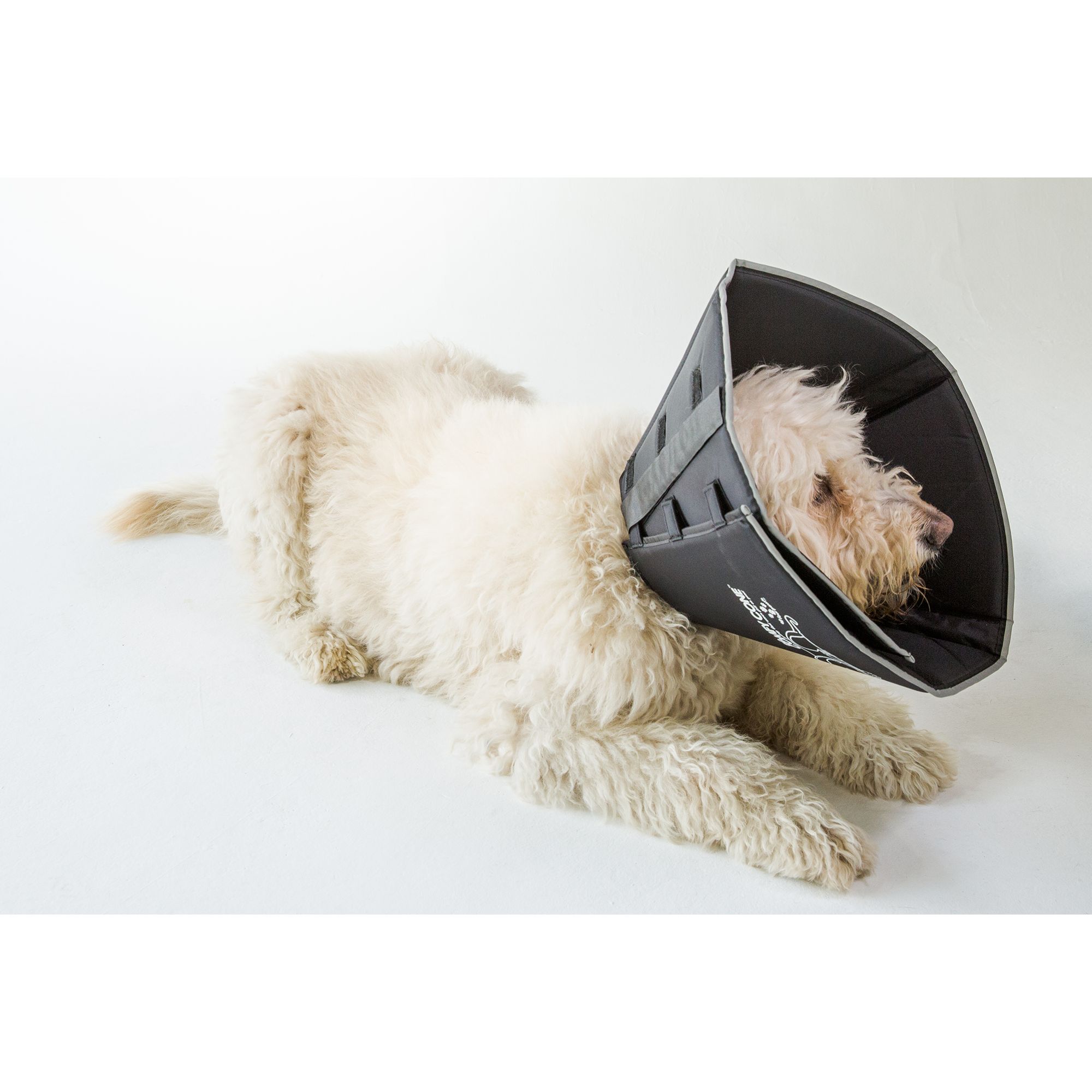 All Four Paws Black Comfy Cone Dog E Collar