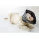 Product All Four Paws Black Comfy Cone Dog E-Collar