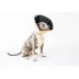 All Four Paws Tan Comfy Cone Dog E-Collar image thumbnail 1