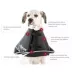 All Four Paws Tan Comfy Cone Dog E-Collar image thumbnail 5