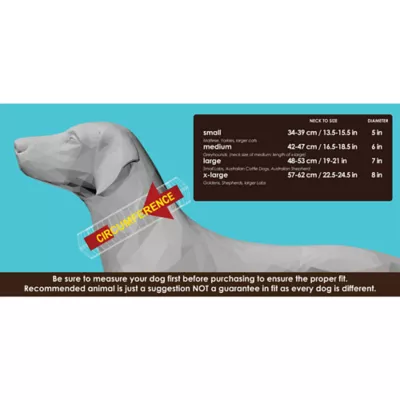 Product All Four Paws Chill Dog Collar